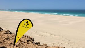 TUI'den yeni otel yatırımları.İşte detaylar...