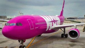 Wow Air tüm uçuşlarını durdurdu.