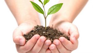 Daha yeşil bir doğa için Ağaç dikelim !