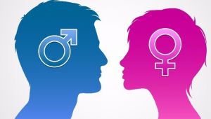 İş Hayatında Cinsiyet Eşitliği Uluslararası Konferansı 