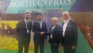 Ülkemize 1000 sağlık turisti, 10 Milyon Euro gelecek