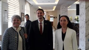 Başarılı Akademisyen Ergül Söylemezoğlu'na önemli görev !