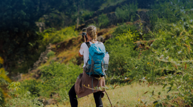 Dünya Turizm Örgütü: 