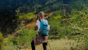 Dünya Turizm Örgütü: 