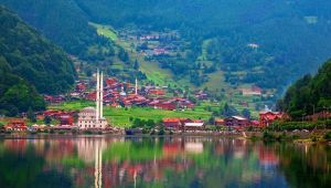 Trabzon araç kiralama firmaları