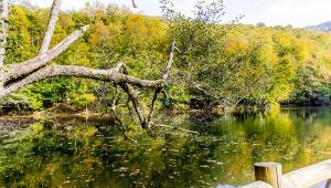 istanbul'a yakın gezi rotaları !