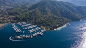 VII. CVC Fonu Üç D-Marin Marinasını Daha Satın Aldı