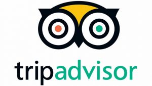 TripAdvisor seyahat eğilimleri raporunu açıkladı