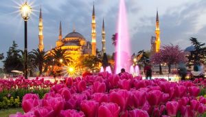 Rus turistler lale festivalini görmek istiyor