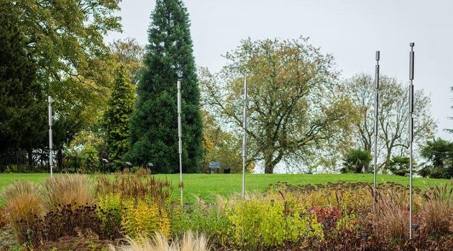 SAHA bağımsız sanat yazarlarını destekliyor