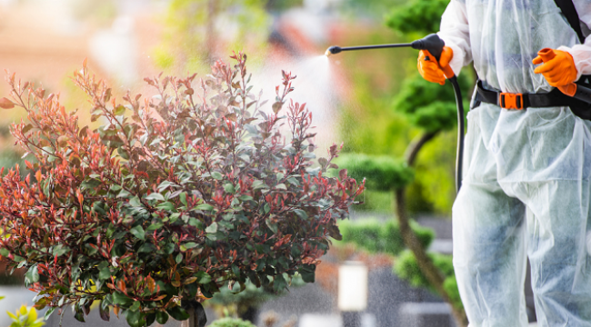 Dikkat ! Sağlığınız risk altında olabilir...