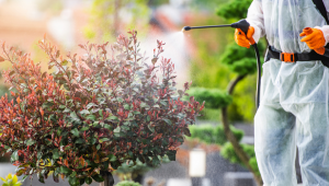 Dikkat ! Sağlığınız risk altında olabilir...