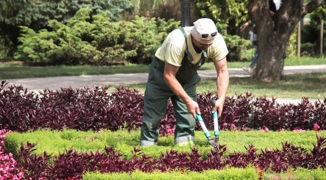Otel peyzajında dikkat edilmesi gerekenler 