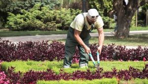 Otellerde Peyzaj Projeleri