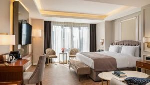 Radisson'dan bir otel yatırımı daha !
