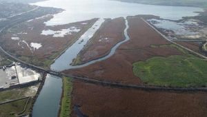 Katarlılar Kanal İstanbul'dan ne kadar yer aldı?