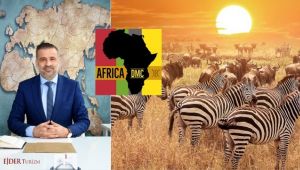 Afrika turlarında yeni dönem başladı