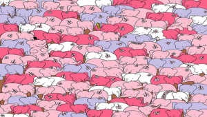 Optik İllüzyon Testi; 20 sn’de kalbi bulabilir misiniz?