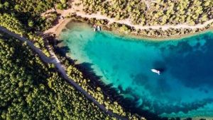 Cengiz Holding'ten basın açıklaması....