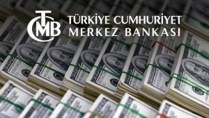Yıl sonu dolar kuru beklentisi açıklandı !