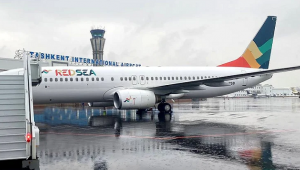 Intourist, Red Sea Airlines'ın Mısır uçuşlarını iptal etti