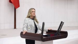 Hazineye ait 32 taşınmazın tahsisi meclis gündeminde