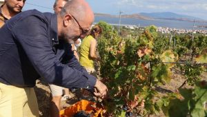 Avşa Adası Turizm Potansiyelini Genişletiyor 