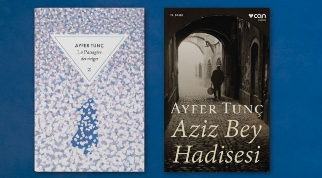 Ayfer Tunç, 2025 Fransa-Türkiye Edebiyat Ödülü'ne layık görüldü