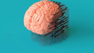 IQ Testi: IQ'nuzu Merak Ediyor musunuz?