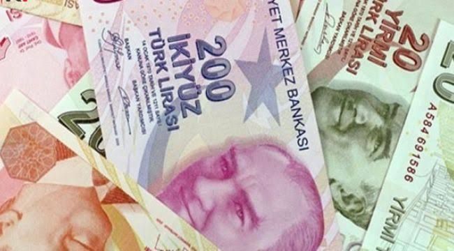 Vatandaşlık Maaşı Nedir? Vatandaşlık Maaşına Nasıl Başvurulur ? 