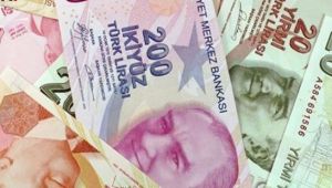 Vatandaşlık Maaşı Nedir? Vatandaşlık Maaşına Nasıl Başvurulur ? 