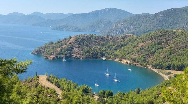 FETHİYE'DE AYTEN KOYUNA TEKNE BAĞLAMA İSKELESİ YAPIMINA TEPKİ !