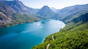 SU VE ORMAN : DOĞANIN ,REFAH'IN VE EŞİTLİĞİN TEMEL TAŞLARI ...